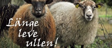 Länge Leve Ullen