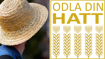 Anmälan Odla din hatt